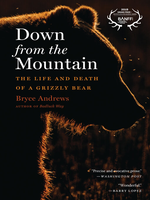 Title details for Down From the Mountain by Bryce Andrews - Wait list